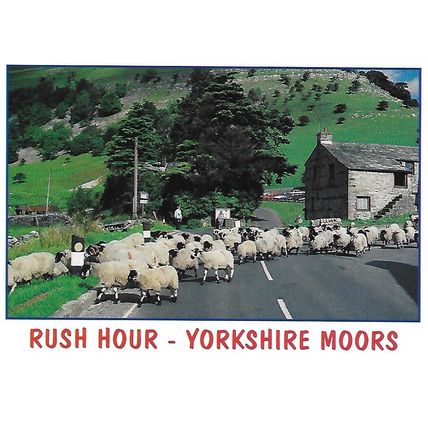 Y004303L: Rush Hour - Yorkshire Moors