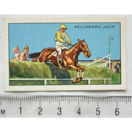 1934 Gallaher's Park Drive Champions No. 8 Kellsboro Jack, horse racing