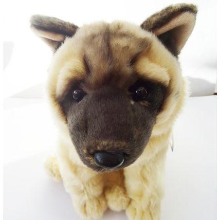 Akita 12" toy dog, just as it is, personalised, gift wrapped, 3 options