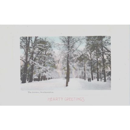 Winter The Avenue Southampton Hampshire Postcard (QHAM234)
