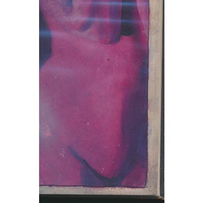 Black Orchid, Book One, DC Comic Book, VF+++