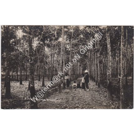 RP Rubber Estate Singapore c1923