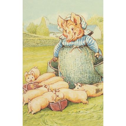 The Tale Of Pigling Bland Beatrix Potter 1913 Book Postcard