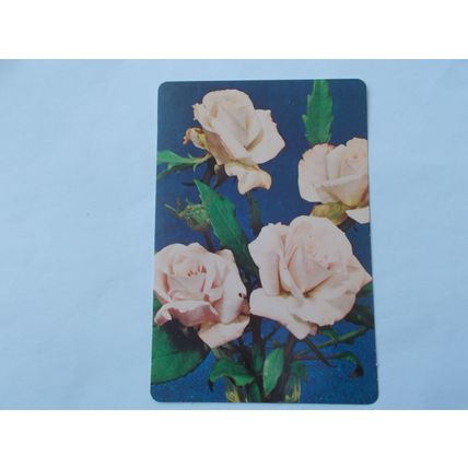 WEBBS GARDENING CARD / CHINA ROSES (11) (21/06)