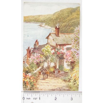 1954 Postcard Rose Cottage & Bay, Clovelly