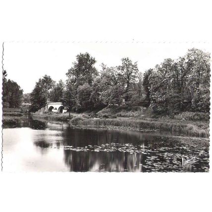 49 - Montreuil-Bellay - le Thouet