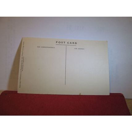POLAR BEARS, DUDLEY ZOO, WORCESTERSHIRE unused vintage postcard =