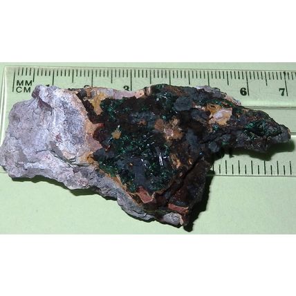 Atacamite - Mt. Gunson Cu Mine, South Australia Mineral - 60x40mm 29g #eb003
