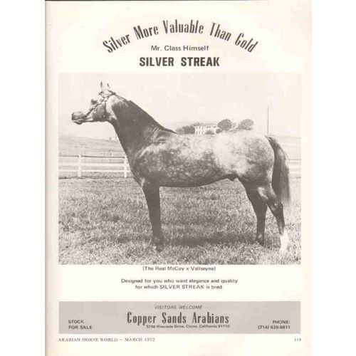 copper sands arabians 1972 silver streak real mccoy horse vintage ad