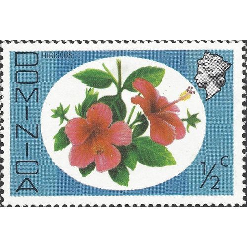 DOMINICA, FLOWERS, Hibiscus, blue 1975, ½c, #3