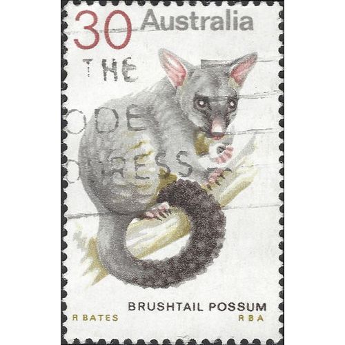 AUSTRALIA, MAMMAL, Brushtail Possum, grey 1974, 30c, #3