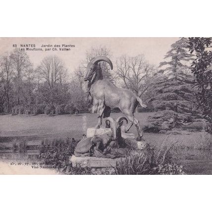 Nantes Jardin des Plantes Les Mouflons Par Charles Valton Postcard
