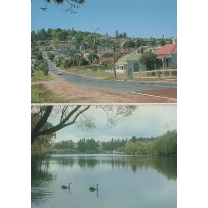 Daylesford Jubilee Lake River Birds Australia Postcard