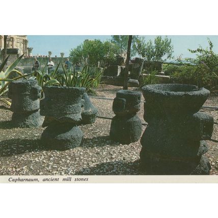 Capharnaum Ancient Olive Press Israel Postcard
