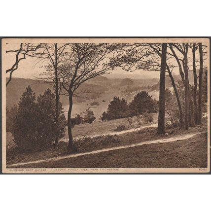 Historic Kingly Vale near Chichester, Sussex, 1939 - Photochrom Postcard
