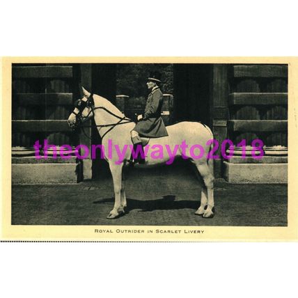Royal Outrider in Scarlet Livery, Royal Mews, Tucks Postcard 1950s