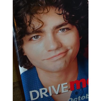 DRIVE ME CRAZY - MOVIE BANNER WITH MELISSA JOAN HART AND ADRIAN GRENIER-VINYL