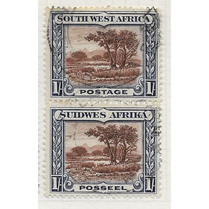 AFRICA SOUTH WEST 1931 1/- THE BUSH SG80 VERT PAIR USED PMK SON SWA
