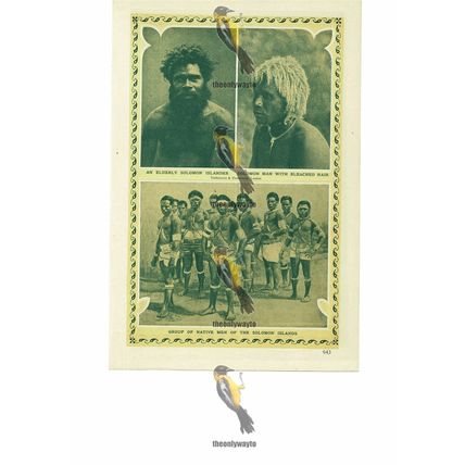 Solomon Islands, Ethnic Races, Book Illustration (Print), c1907