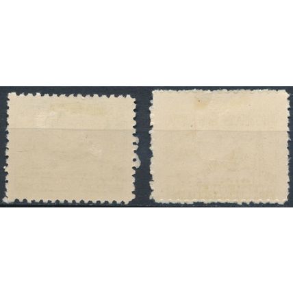 Communication Tax surch - Bolivia 1955 - NM H - MiNr Z20/1 (B)