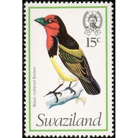 Swaziland QEII 1976 15c Black collar Barbet Unmounted Mint NHM SG244 birds stamp
