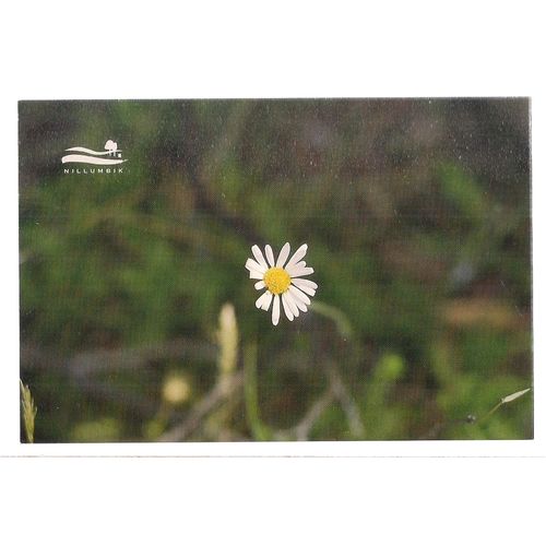 NILLUMBIK SHIRE, AUSTRALIA unused vintage postcard =