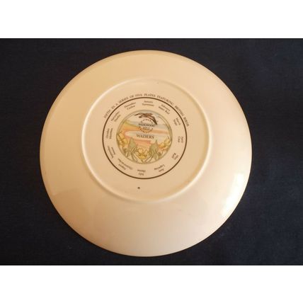 Wedgwood of Etruria and Barlaston British Birds Waders 1990 Calendar China Plate
