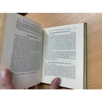1967 THE BOOK OF FLOWERING TREES AND SHRUBS ILLUSTRATED HARDBACK BOOK (P3)