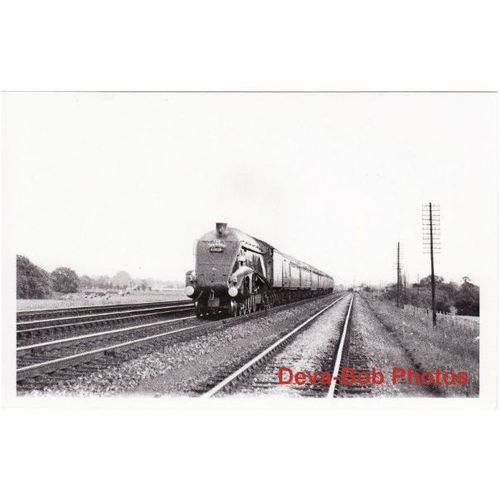 Railway Photo LNER A4 60029 Woodcock Gresley Pacific Loco The Talisman