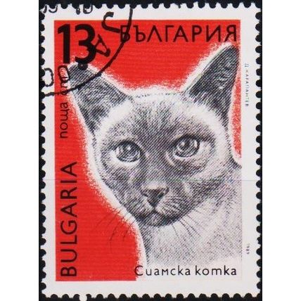 Bulgaria. 1989 13s S.G.3663 Used