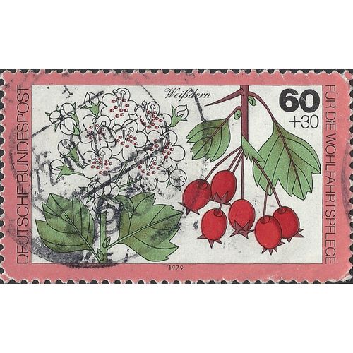 GERMANY, FLOWER, Hawthorn, pink 1979, 60+30pf