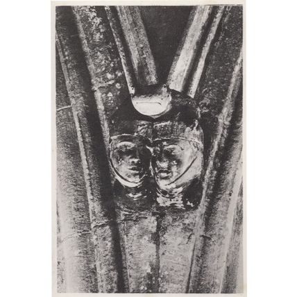 The Berkeley Toad Antique Frog Gossip Stone Statue Postcard