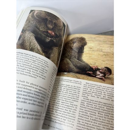 National Geographic Magazine November 1987 Süleyman Vintage Collectable g