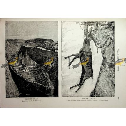 Viking Boat, Sande Fiord, Norway & Hanging Deer, Book Illustration (Print), 1893