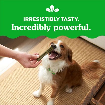 Greenies Original Petite Natural Dental Care Dog Treats, 54 Oz. Pack (90 Treats)