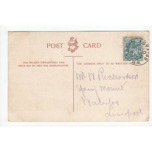 In Royal Botanic Park Belfast Northern Ireland 1905 Postcard 442