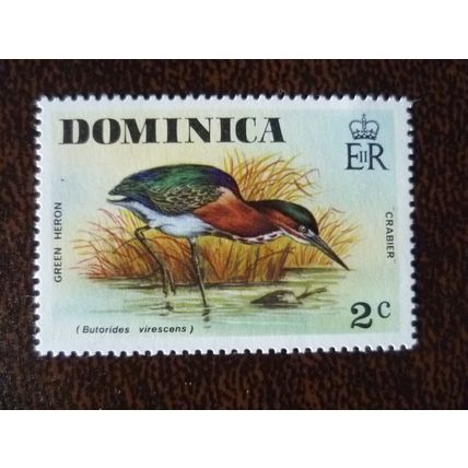 Dominica 1976 Wild Birds Green Heron 2c mint stamp SG525