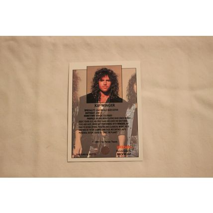 1991 Brockum Rockcards Set of 288 Cards Hand collared