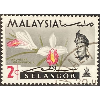 Malaya Selangor QEII 1965 2c Arundina Graminifolia Used SG 137 stamp flower #2