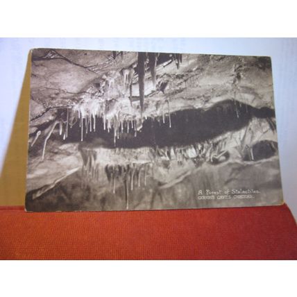 STALACTITES, GOUGH'S CAVE, CHEDDAR, unused antique postcard by W. Gough =