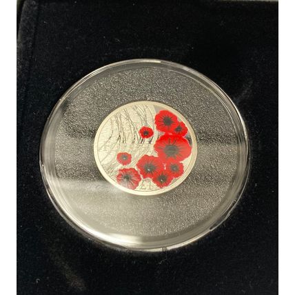 2019 - Alderney Remembrance Day Solid Silver Proof (£5, £2, £1) Coin Collection