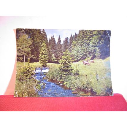 SCHWARZWALD, BLACK FOREST, GERMANY, used postcard 1962 postmark =