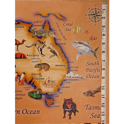 Australia 14 X 20 Illustrated Country Map On Canvas Wood Framed Oceans & Sealife