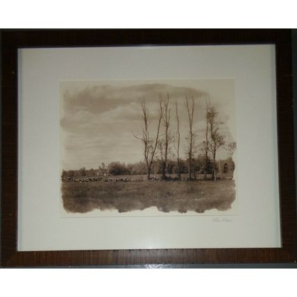Bo Kass : Bare Trees in Winter. - Signed Toned silver gelatin photograph - 2002