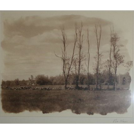 Bo Kass : Bare Trees in Winter. - Signed Toned silver gelatin photograph - 2002