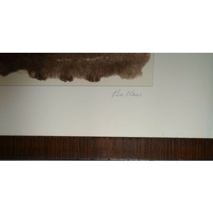Bo Kass : Bare Trees in Winter. - Signed Toned silver gelatin photograph - 2002