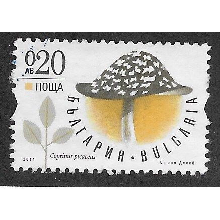 BUL 2014 20st 'FUNGI' FINE USED (EBID63-786)
