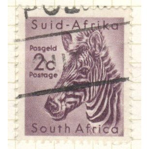South Africa 1954 - 2p violet - Equus zebra - used 2