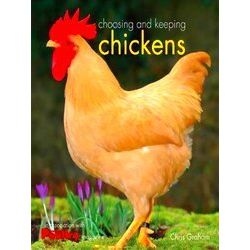 Choosing And Keeping Chickens