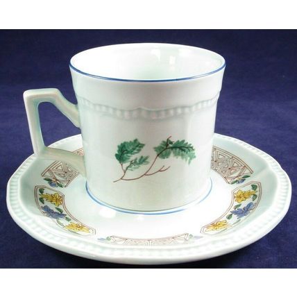 RARE Kensington Staffordshire Ironstone Cup & Saucer Set, Java Bird, England